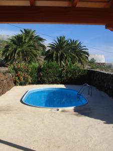 a blue swimming pool with palm trees in the background at Finca Alexa in Arecida