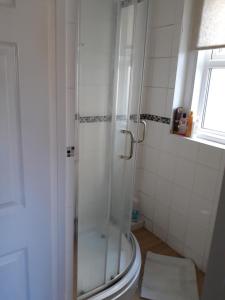 uma casa de banho com um chuveiro, um WC e uma janela. em Kilreany em Sidmouth