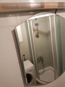 a bathroom with a shower and a toilet and a mirror at Delta Apartment in Podgorica