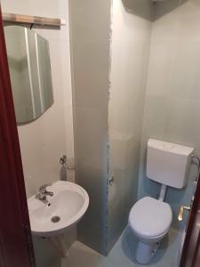 a small bathroom with a toilet and a sink at Delta Apartment in Podgorica