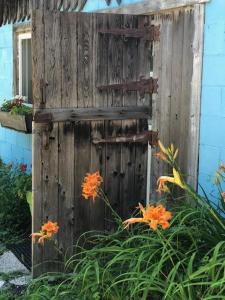 an old wooden door with flowers in front of a building at Country Living in Gravenhurst