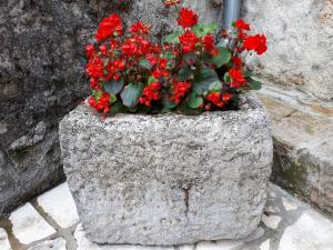 a stone planter with red flowers in it at Kuća Za Odmor Mikleus in Lovran