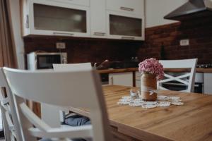 Kuchyň nebo kuchyňský kout v ubytování Apartman Vejama