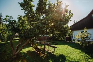 Zahrada ubytování Apartman Vejama