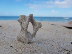 una roca en la arena en la playa en Villa Soleil D’été, en Blue Bay