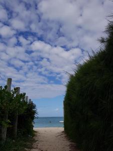 ein Strand mit einem Zaun und das Meer im Hintergrund in der Unterkunft Villa Soleil D’été in Blue Bay
