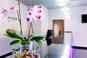 TV a/nebo společenská místnost v ubytování Dña Monse Hotel Spa & Golf