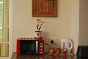 a red microwave sitting on a counter with a plant on it at Platbakkies Farm Retreat in Kamieskroon