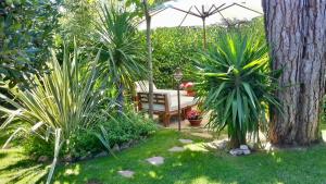 a garden with a chair and an umbrella and plants at Relais Casa Moresca in Terracina