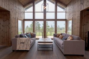 特吕西尔Trysilsetra 40的有两张沙发和一张桌子的客厅