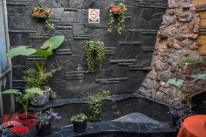 a stone wall with plants and a no smoking sign at Casi Guemes Hotel in Córdoba