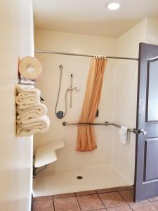 a shower in a bathroom with a shower curtain at Casa Bella Inn Downtown LA in Los Angeles