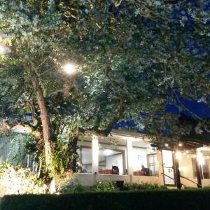 Giardino di Grandpas Hotel & Restaurante