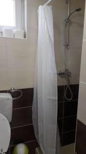 Vannituba majutusasutuses Apartmani Prisoje
