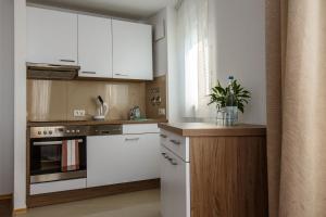 Kuchyň nebo kuchyňský kout v ubytování Outlet-Apartment Metzingen