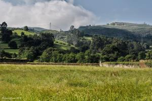 een grasveld met een heuvel op de achtergrond bij Casa Velarde in Torrelavega