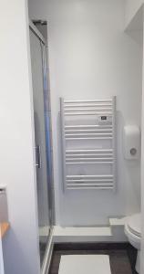 ヴァランシエンヌにあるVal' Appart 1のシャワーとトイレ付きのバスルーム