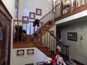 un montón de animales de peluche sentados bajo una escalera en StoneWall House, en Lake Elmo
