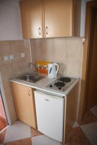 Kuchyň nebo kuchyňský kout v ubytování Omega Apartments