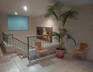 a room with two chairs and a potted plant at Plaza Inn Express in Tapachula