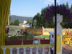 Afbeelding uit fotogalerij van Pensiunea Medina in Cheia +16 foto's