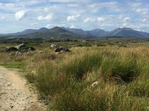Fotografie z fotogalerie ubytování Earls View Caravan v destinaci Carna