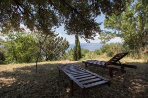 Príroda v okolí apartmánu