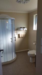 a bathroom with a toilet and a glass shower at Moeraki Boulders Motel in Hampden