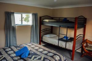a bedroom with two bunk beds and a window at Blue Moon Lodge in Havelock