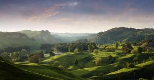 a green valley with trees and mountains in the background at Carmel Farmstay in Piopio