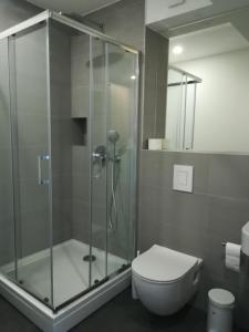 ein Bad mit einer Glasdusche und einem WC in der Unterkunft B&B villa Kovač in Baška Voda