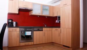 a kitchen with wooden cabinets and a red wall at Apart Hannah in Uderns