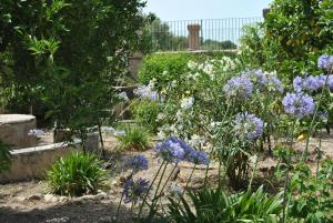 A garden outside Casa Castellitx Mallorca