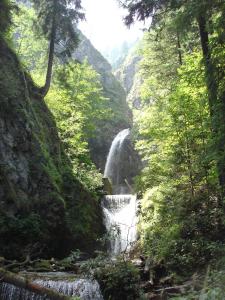 Paesaggio naturale nelle vicinanze dell'appartamento