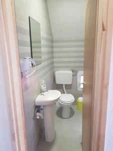 a small bathroom with a toilet and a sink at Apartmani Prisoje in Žabljak