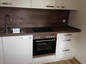a kitchen with a sink and a stove at Ferienwohnung Zweinig 01 in Zweinig