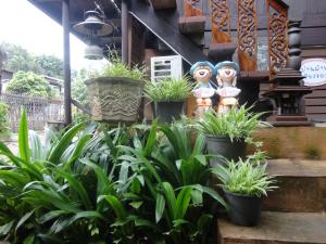 Zahrada ubytování Baanfai Guesthouse Chiangkhong