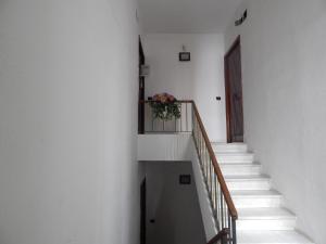 カリアリにあるIl Panoramico Roomsの鉢植えの階段