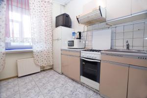 a small kitchen with a stove and a sink at Nice Flats Smolenskaya in Moscow