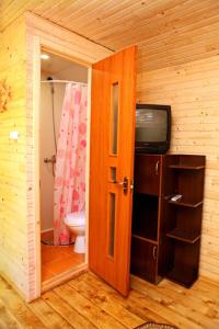 a bathroom with a toilet and a television in a room at Bilya Richky Hotel in Kamianets-Podilskyi