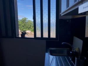 a window in a kitchen with a sink and a plant at Casa do Carvoeiro II-GOOD AND CHEAP!!! in São Vicente +23 photos