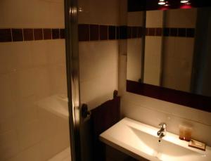 y baño con lavabo y ducha con espejo. en La Grange aux Loirs B&B, en Courtioux