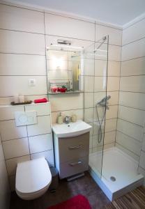 a bathroom with a shower and a toilet and a sink at Chalet Via Mons in Mojstrana