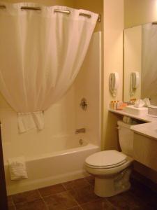 a bathroom with a toilet and a tub and a sink at Aspen Hotel in Soldotna