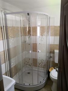 a bathroom with a shower and a toilet at Casa de Vacanta Aurelia in Voineasa