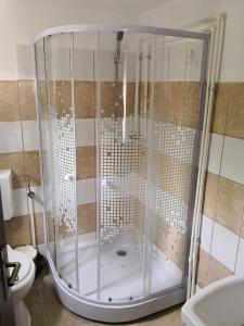 eine Duschkabine im Bad mit WC in der Unterkunft Casa de Vacanta Aurelia in Voineasa