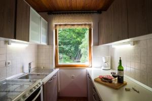 una pequeña cocina con fregadero y ventana en Chalet Via Mons en Mojstrana