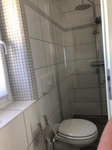 a bathroom with a toilet and a shower at Ferienhaus Eichhorn in Breege +21 photos