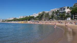 Photo de la galerie de l'établissement Central avec Jardin, à Cannes