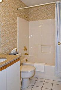 a bathroom with a toilet and a shower and a sink at Colonel Williams Resort and Suites in Lake George